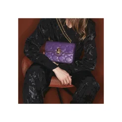 Store Claris Virot Ava Medium Bag Purple Leather Embroidered