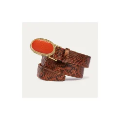 Hot Claris Virot Dallas Belt Moka Python Orange Buckle