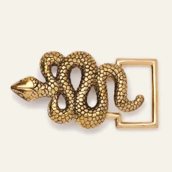 Shop Claris Virot Snake Belt Moka Python Gold Buckle